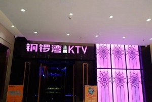 杭州西湖区双浦镇附近酒吧招聘商务礼仪,领队直招没套路的
