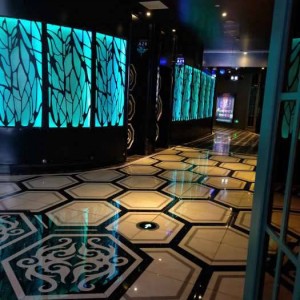 杭州临安区龙岗镇附近夜场招聘商务礼仪,入职需要什么条件