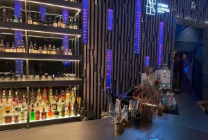 保安训导员招聘条件（保安训导人员招聘标准）