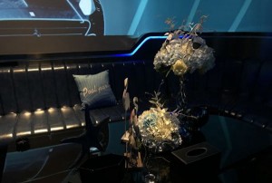 杭州临安区清凉峰镇附近ktv招聘现场DJ,(不用订房任务)