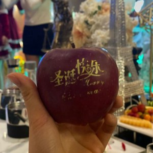 杭州毕业求职：住宿无忧，聚焦IT／金融行业