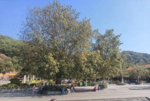 杭州求职热：汽修美容行业新机遇